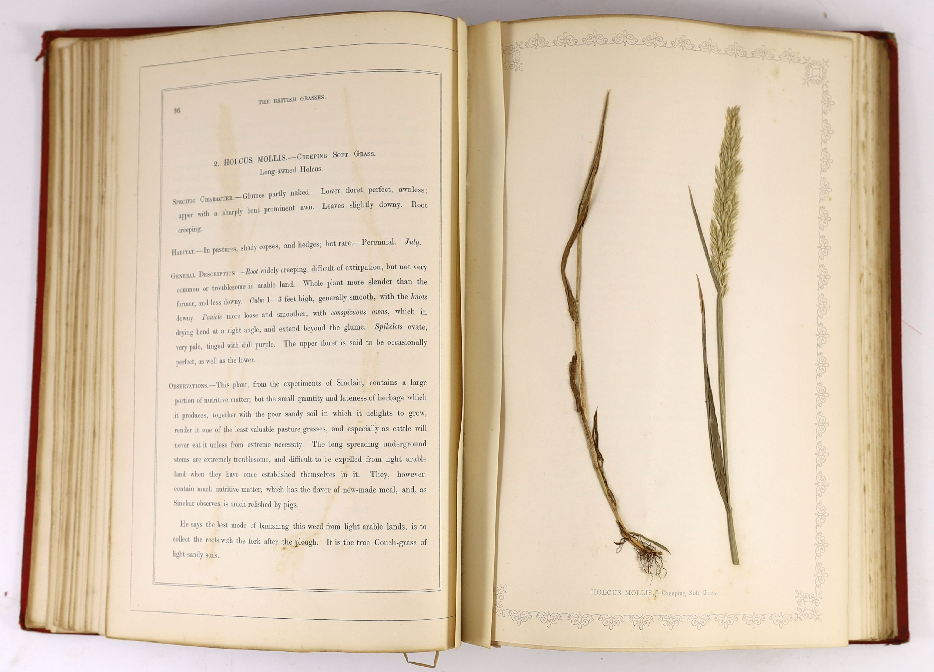 Hanham, Frederick (editor) - Natural Illustrations of The British Grasses, 1st edition, folio, red watered silk, by Astle & Sins, with 62 pages of actual specimens of dried grasses, spine crudely repaired with tape, Bath